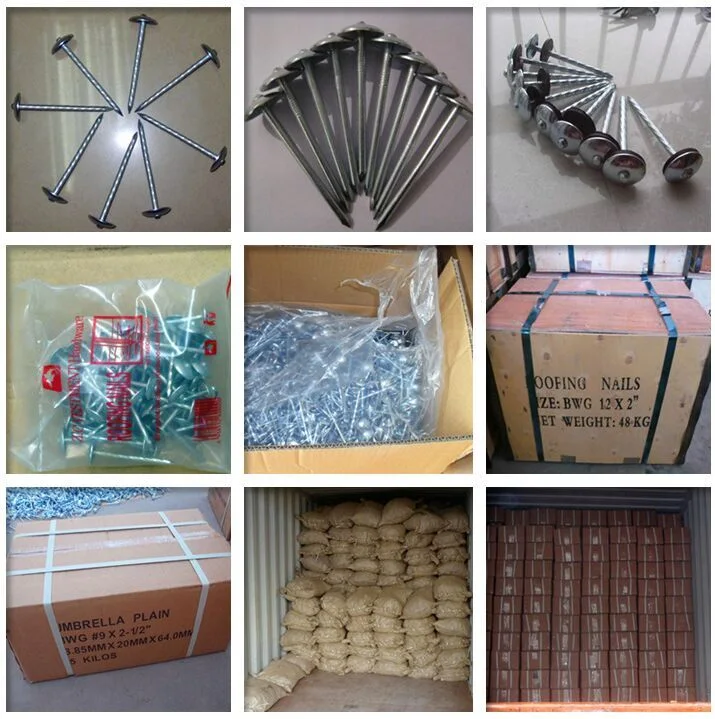 Factory Manufactured Cheap Price 2" 2.5" Galvanized Roofing Nails Smooth/Twisted Shank Umbrella Head Concrete Nails /Cupper Nails /Shoe Tack /Twisted Nail