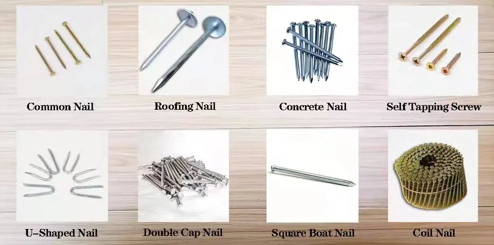 Q195 3/4" to 6" Harden Good Quanlity Polished Nail/Galvanized Iron Nail/ Wire Nail/Wooden Nail/Roofing Nail/Concrete Nail for Construction