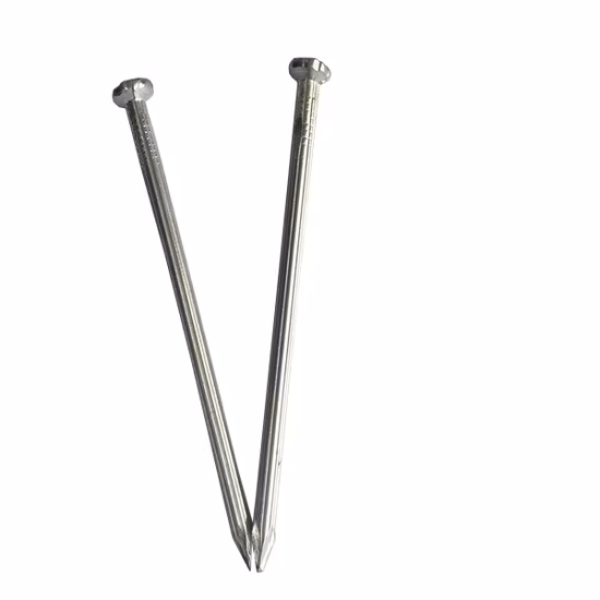 Hardware-Befestigungselement, elektroverzinkte Stahlbetonnägel, 3,0 mm x 40 mm