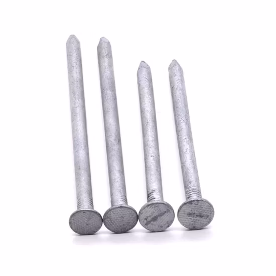 Q195 Material Eisennagel/polierter Nagel/verzinkter Nagel/feuerverzinkter Nagel/Hardware-Nagel/Baunagel/Konstruktionsnagel